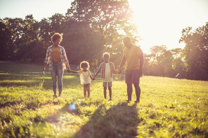 Family Healing Session